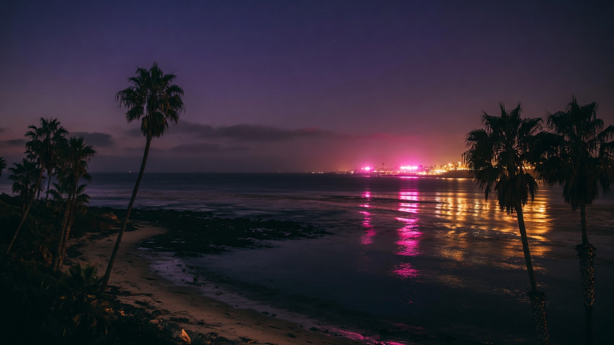 California coastline at night with palm silhouettes and distant magenta neon on the water.